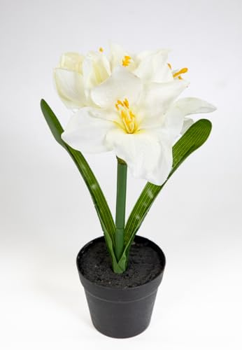 Seidenblumen Roß Amaryllis im Topf 32cm JA künstliche Blumen Pflanzen Kunstpflanzen Kunstblumen (Weiß)