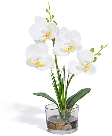 ALEjon Real Touch Orchidea Bianca Fiori Artificiali in Vaso di Vetro - Elegante Pianta di Orchidea di Seta per Casa, Ufficio, Cucina, Matrimoni e Feste - Centrotavola