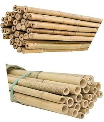 Peyca Pack 6 tutores bambú Natural 180cm + 6 tutores bambú Natural 120cm para Plantas y huertos