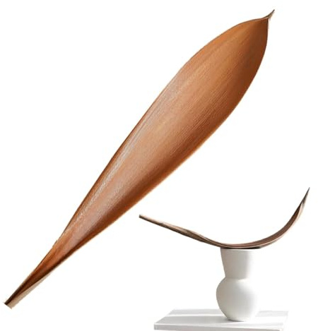 Genérico Decoración De Hojas De Cacao,Paletas De Palma Secas - Ramas secas de Color Natural - Hojas secas decoración de Plantas Hojas de Cacao Naturales Creativas exóticas para salón
