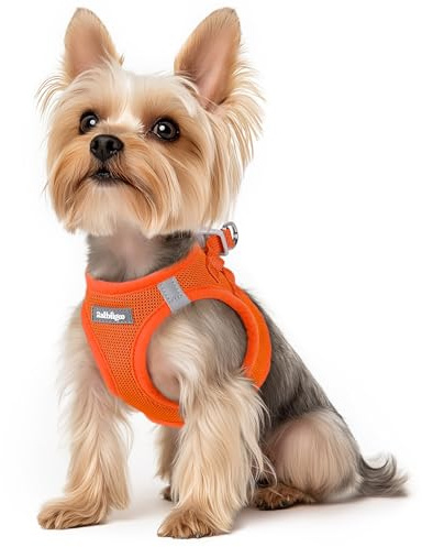 rabbitgoo Harnais Chien Petite Taille Orange XS, Harnais Chiot Respirante en Maille Souple, Arnet pour Chien Réfléchissant Facile à Mettre, Gilet Réglable pour Petits et Moyens Chiens pour Marche