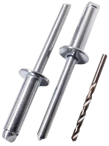 SKIR'CO Lot de 100 rivets aveugles en acier zingué 6,0 x 20 mm Mandrin en acier, rivets pop tête bombée DIN 7337 Rivets, foret inclus