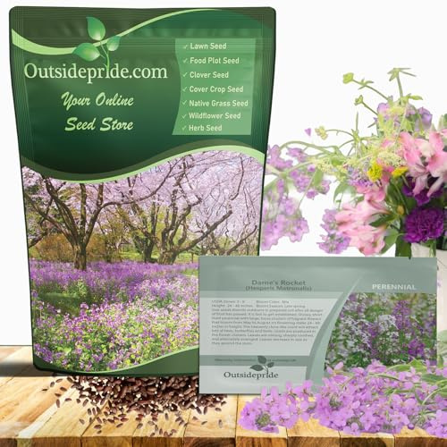 Outsidepride Dame's Rocket Flower Seeds - 1 Lb. Perennial, Easy to Grow, Deer Resistant & Self-Seeding Wildflower Seeds for Planting Vibrant and Fragrant Blooms in Pollinator & Butterfly Gardens