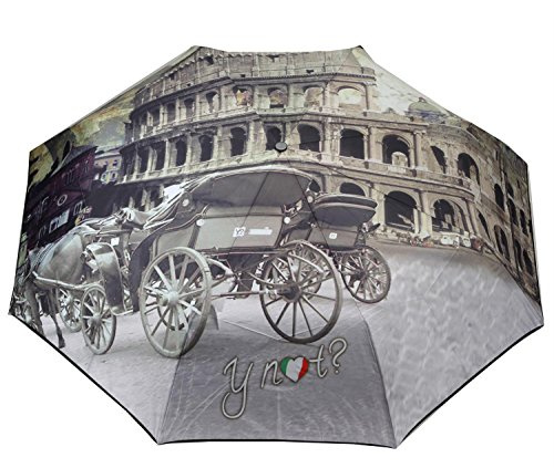 Y NOT? Taschenschirm mit Auf-Zu Automatik - bedruckt City Rome