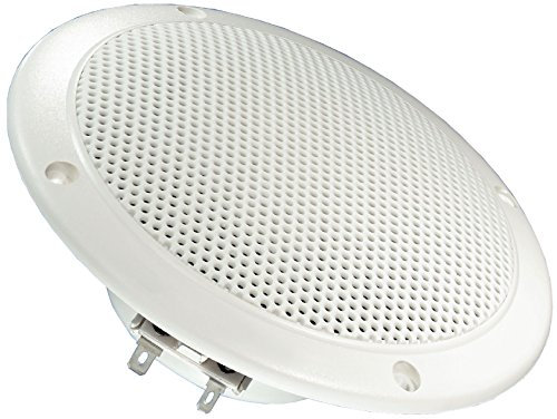 Visaton 2113 Lautsprecher FR 13 WP 4 Ohm weiß