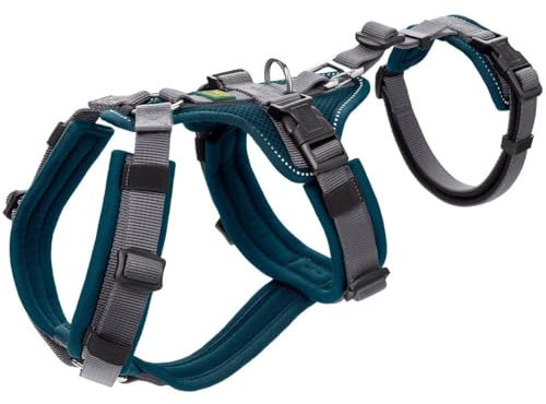 Sicherheitsgeschirr Maldon Farbe Petrol/grau, Größe M-L