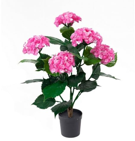 LOLAhome Planta Artificial Hortensia Fucsia para Interior y Exterior | De 60 cm | Protección UV Solar, contrapeso de Cemento | Realista y Elegante | para Interior, balcón, terraza | Plantas Exterior