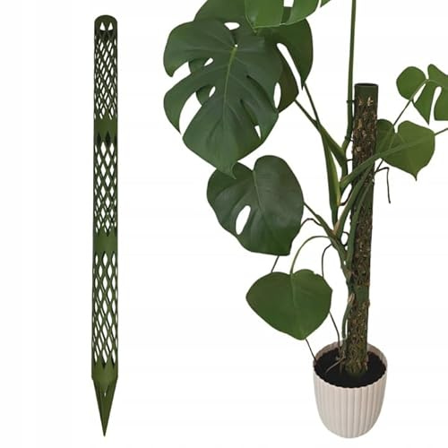 PLANTINITY - Moosstab modular 82 cm - Rankstab für Monstera Philodendron Epipremnum - befüllbare Pflanzenstütze aus PLA - Grün Khaki - mit Clips ohne Moos