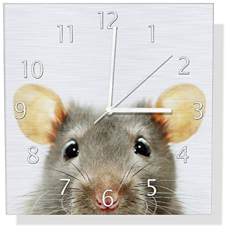 Wallario Design Wanduhr Maus am Tellerrand aus Aluverbund, Alu-Uhr Größe 30 x 30 cm, weiße Zeiger mit Metalloptik