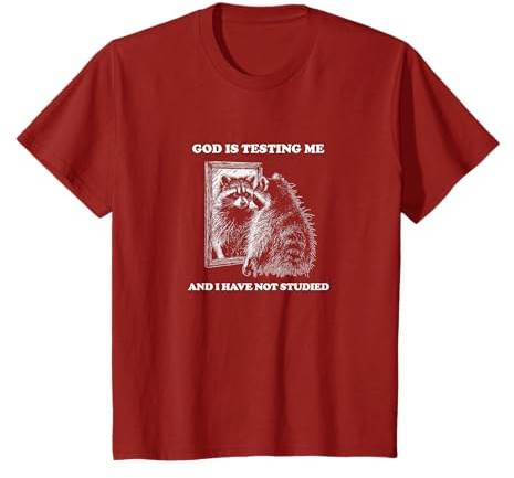 Waschbär, The Lord/ God Is Testing Me And I Have Not Studied T-Shirt