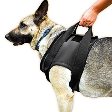 Julius-K9, Neopren Gehhilfe-Geschirr