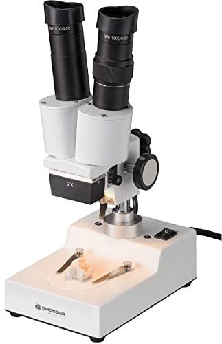 Bresser 3D Auflicht Stereo Mikroskop Biorit ICD 20x Vergrößerung zum Beobachtung von ‚Gesteinen, Pflanzen, Münzen, Insekten und vielem mehr inklusive Beleuchtung und Staubschutzhülle