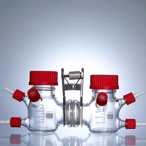 Scatola elettrochimica chimica microbica for reattore MEC di tipo III da 1 pz 100 ml - Reattore in vetro borosilicato