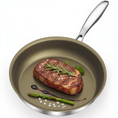 Abijan 11-inch 18/10 Stainless Steel Skillet,Non-Stick Frying pan,Titanium Alloy Material,Compatible with All stoves,Easy to Clean,Flat Bottom pan