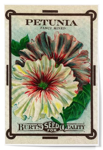 Lantern Press Petunia Seed Packet (12x18 Art Print, Travel Poster Wall Decor)