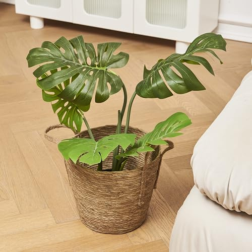 Eden & Willow Natural Straw Woven Storage Basket with Handles | Storage Organizer for Home Decor | Rustic Wicker Basket for Blankets, Plants, Toys, Laundry (Medium)