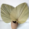 Grandes Feuilles de Palmier séchées, éventail de Feuilles de Palmier en Fleurs Naturelles pour la décoration de Mariage, Ventilateurs géants de Style bohémien pour la décoration d'intérieur, Lot de 2