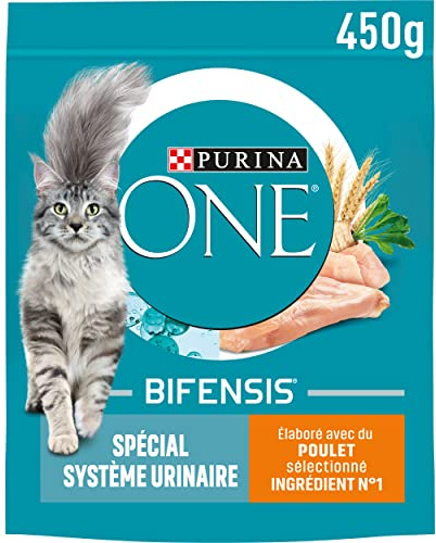 Purina ONE Bifensis | Gato Adulto | Especial para el Sistema urinario | Ayuda a limitar la inflamación del Sistema urinario, apoyar la Salud de los riñones | Croquetas | con Pollo | Bolsa | 10 x | Croquetas Gato Adulto Sabor Pollo - Apoya la salud renal y limita las inflamaciones - Salud Gato - Comidas sabrosas