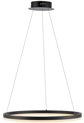 Paul Neuhaus LED Pendelleuchte anthrazit Ring 60cm dimmbar höhenverstellbar | dimmbar über Wandschalter, 40-120cm höhenverstellbar, warmweiß