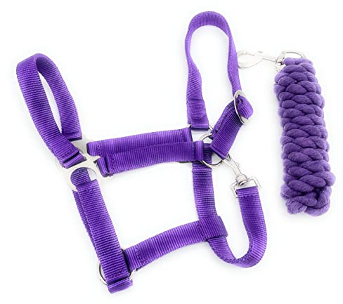 ARBO-INOX Halfter-Set Basic Halfter stufenlos verstellbar mit Führstrick (Full Warmblut, Lila)