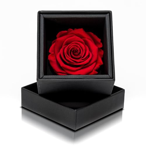 Aluisi Fiori Rosa Stabilizzata Rossa in Cofanetto Nero - Rosa Stabilizzata Vera - Rosa Eterna - Fiore Stabilizzato - Fiori Stabilizzati - Simbolo di Amore e Passione - Idea Regalo