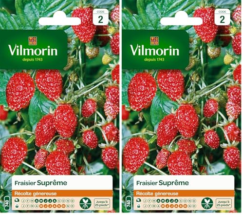 Vilmorin 3585042 Pack de Graines Fraisier 4 Saisons Suprême (Lot de 2)