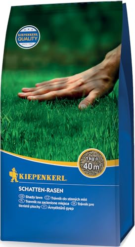 Kiepenkerl Schatten-Rasensamen 651456, Rasensaat | Schattenrasen mit guter Schattentoleranz, tiefgrüne Rasenfläche, Rasensaat schnellkeimend