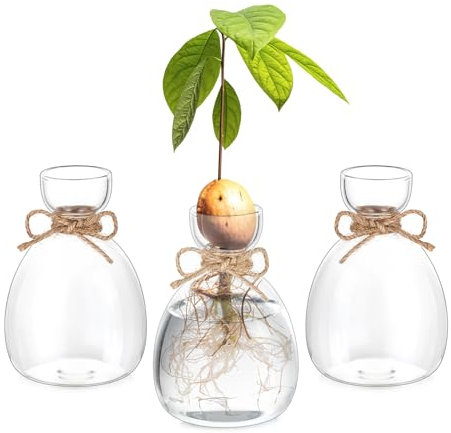 Hewory Propagation Station Gifts for Women: 3 Plants Terrarium Glass Avocado Vase for Decoration Living Room - Hydroponic Vases Decorative Clear Glass Vase Modern Small Vases for Table Decoration