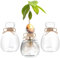 Hewory Vase en Verre Vase Avocat: Avocado Vase Hydroponique Vase Transparent Terrarium Plante pour Decoration Interieur - Hydroponie Petit Vase Decoratif Vase Soliflore Verre pour Centre de Table Home