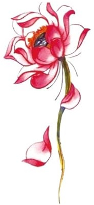 2 stücke Lilie Sweatpea Blume Temporäre Tattoo Aufkleber for Frauen Körper Kunst Arm Mädchen Taille Wasserdichte Tattoo Sticks(Red)