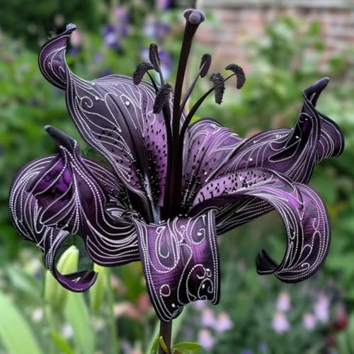 Bellissimo Giglio bulbi,piante erbacee Resistenti perenni,bulbi da fiore a fioritura,adatti per la semina immediata,Giglio pianta vera(non artificiali)-8 Bulbi-G