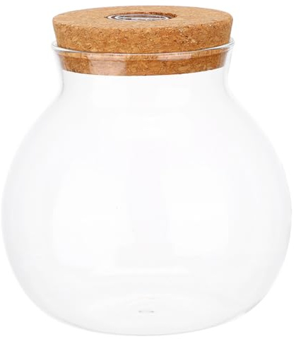 VICASKY Glas-Terrarium mit Korkdeckel Runde Desktop-pflanzenvase mit Licht Versiegeltes Hydroponik-gefäß für Zimmerpflanzen Station für Büro und Zuhause