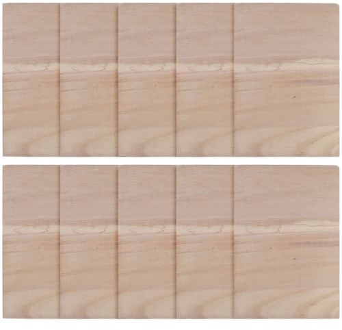TOYANDONA 10pcs Taekwondo Training Board Set, 0.9cm Thick Wooden Karate Breaking Boards for Adult, Martial Arts Punching Practice Pads for Practice and Performance