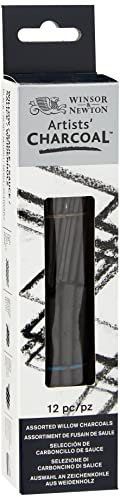 Winsor and Newton Artist Willow Charcoal Sticks - Assorted