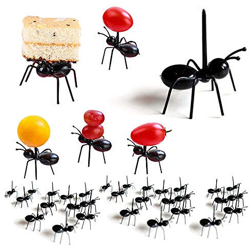 Ensemble fourchette à fruits fourmi, fourchette à dessert à usage multiple pour four à gâteau et assortiment de desserts pour bar (ensemble de 72)