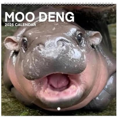 Kalender 2025, Moo-Deng Wandkalender, 2025 Wand Monatskalender Für Zuhause