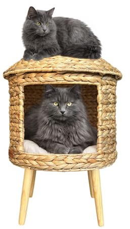 Le Condo Chic Cabana pour Chat Tressée à la Main Panier Artisanal en Jacinthe d’Eau Cabane élevée sur Pieds en Bois Lit en Fibre Naturelle pour Petit Chien Design Original avec Coussin 40x36x57 cm