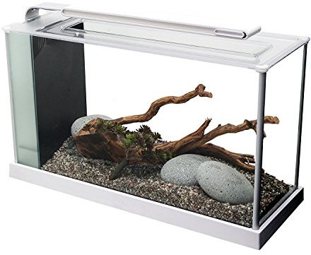 Askoll 280400 FLUVAL SPEC