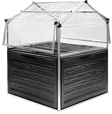 CANOPIA by Palram - Mini Serre de Jardin Plant Inn en Aluminium/Polycarbonate, Argent, 118cm x 118cm
