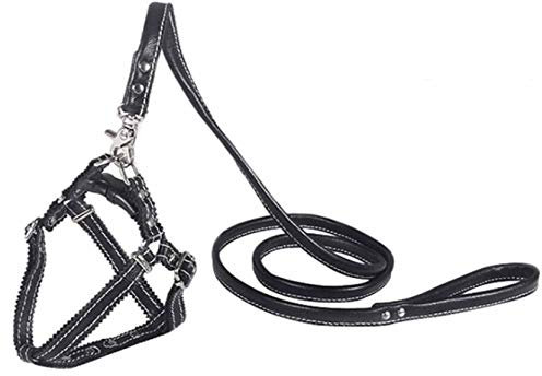 Hundegeschirr Kleine Hunde Leder Verstellbar feiling Hundegeschirr Welpen Brustgeschirr Haustier Ausbruchsicher Katzengeschirr Ledergeschirr Weichem mit 1.3m Hundeleine Leder (Schwarz)