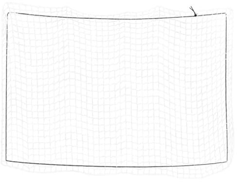 vidaXL Red de Remolque con Cuerda elástica PP Blanco 3,5x2,5 m, Red de Carga, Red de Carga para Remolque, Cubierta de Remolque de Malla