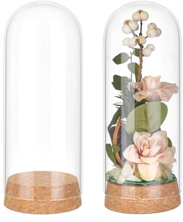 BENECREAT 2 pz. Barattoli Decorativi A Cupola, Campana In Vetro Da 60x155mm con Base In Sughero per La Conservazione Dei Fiori, Esemplari, Decorazioni Artigianali