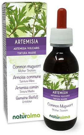 Armoise commune (Artemisia vulgaris) herbe avec fleurs Teinture Mère sans alcool Naturalma - Extrait liquide gouttes 120 ml - Complément alimentaire - Végétalien ou végan