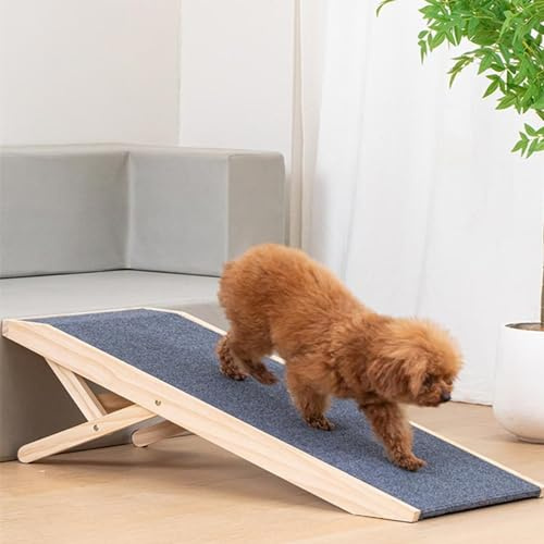 Hunderampe Fürs Bett Autorampe,Klappbare Haustierrampe,Hundetreppe,Katzenrampe,Tragbare Hundetreppe,Geeignet Für Erhöhte Flächen Zwischen 25 Cm/9,8 Zoll,30 Cm/11,8 Zoll Für Kleine Und Mittelgroße Hund