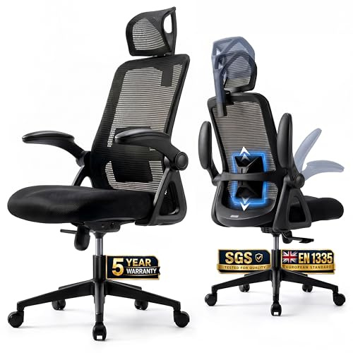Realm of Thrones Mesh Ergonomic Office Chair for Back Support & Long Hours