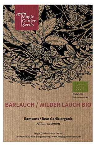 Bärlauch/Wilder Lauch (Allium ursinum) Bio - ca. 100 Samen