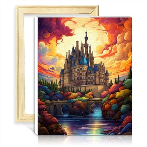 LiHEQING Malen nach Zahlen, Das Schloss Chambord, DIY-Malen nach Zahlen für Erwachsene, Anfängerprojekt für Heimdekorationsgeschenke, DIY-Rahmen (30 x 40 cm)