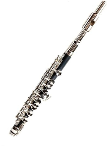 Querflöte Anfänger C-Klappe Versilbertes Piccolo. Musikinstrument. ABS-Körper Schwarze Piccolo Mit Leuchtkasten