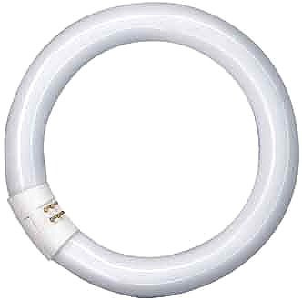 Osram Leuchtstoffröhren 32 Watt, 840 lichtfarbe, L 32 W/840 C