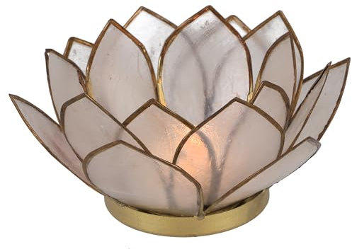 GURU SHOP Lotus Teelicht Muschel 14x6 cm - Weiß